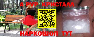 герыч Кингисепп
