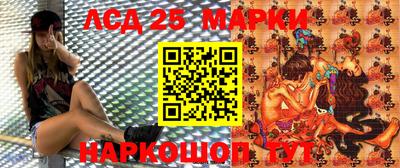 герыч Кингисепп