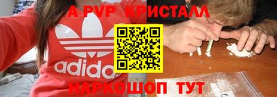 герыч Кингисепп