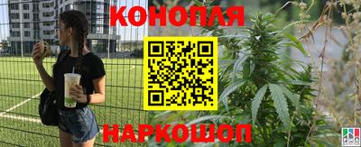 герыч Кингисепп