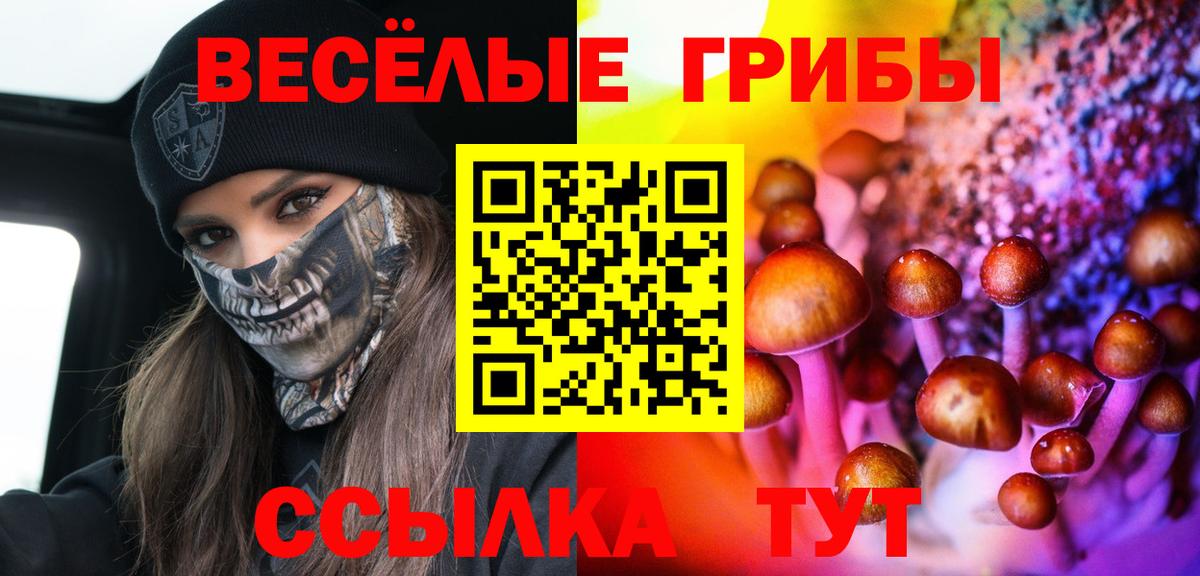 Чистополь  Галлюциногенные грибы мицелий  Вход с VPN 