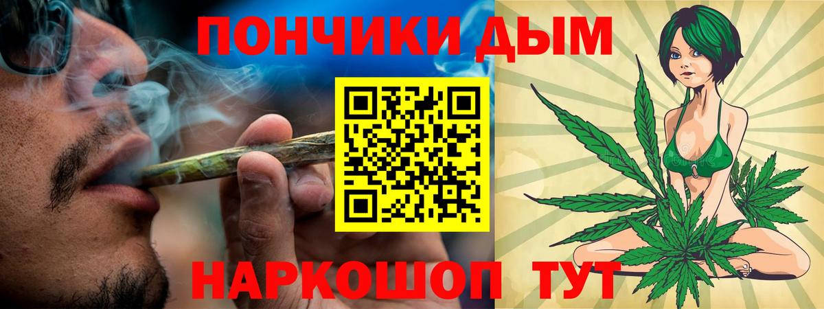 Галлюциногенные грибы Чистополь
